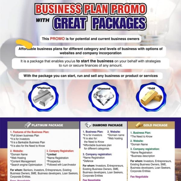 Affordable Business Plan
