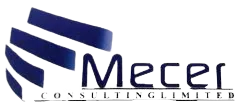 Mecer Consulting